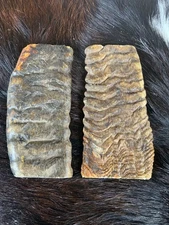 MERINO RAM HORN KNIFE HANDLE scales,  XL BLANK SCALES 5” x 2” x 3/8” (M927)