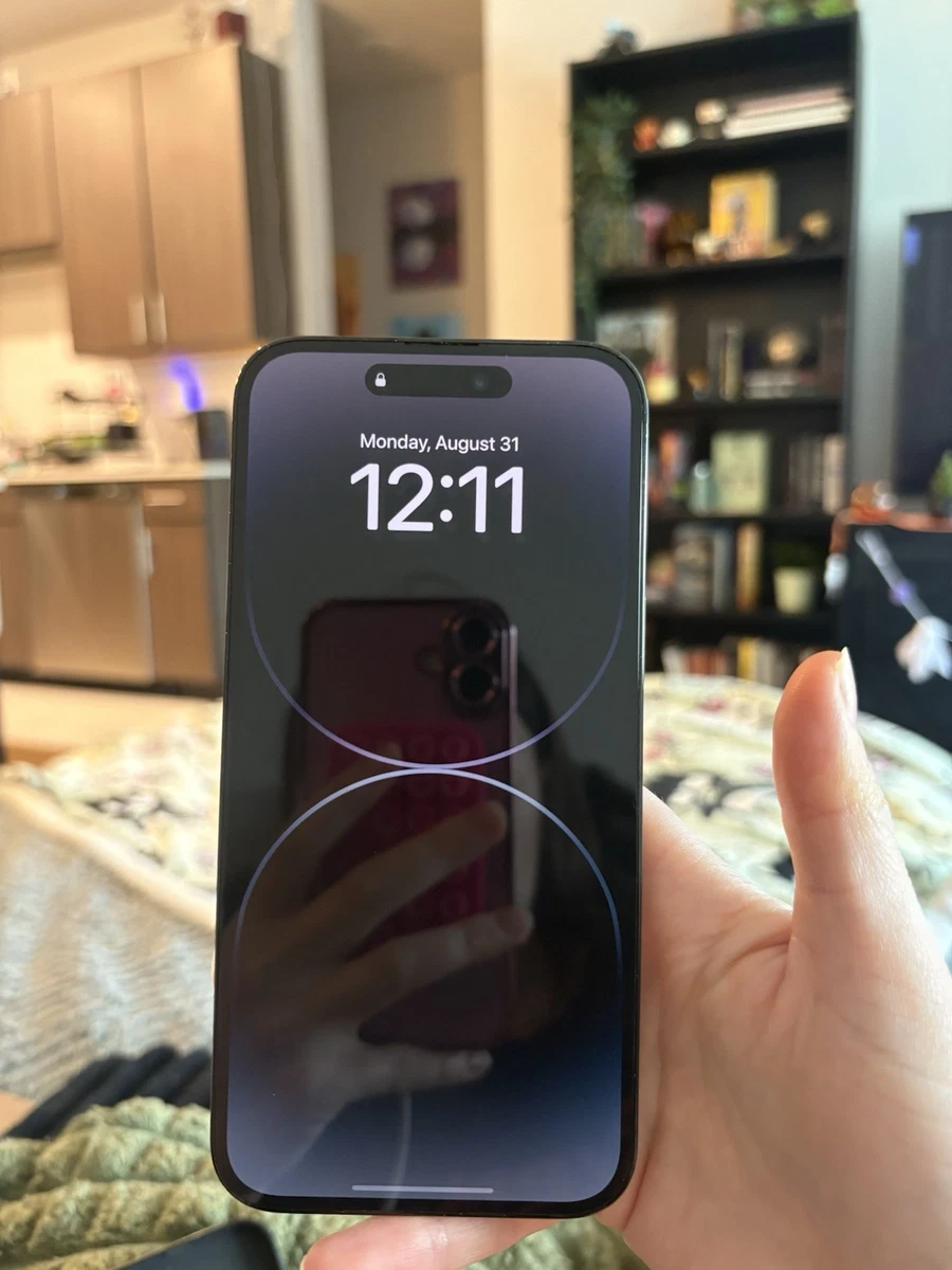 苹果iPhone 14 Pro Max 256gb | eBay