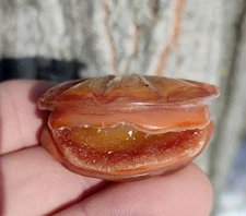 Carnelian Agate Geode Crystal Clam Carving,Beautiful Hand Carved Carnelian Agate