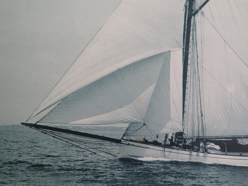 Antique 1890's Photo Print Yacht Mischief NYYC America’s Cup A. Cary Smith - Picture 7 of 15