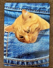 Orange Cat & Denim Jeans Single Trade Swap Playing Card