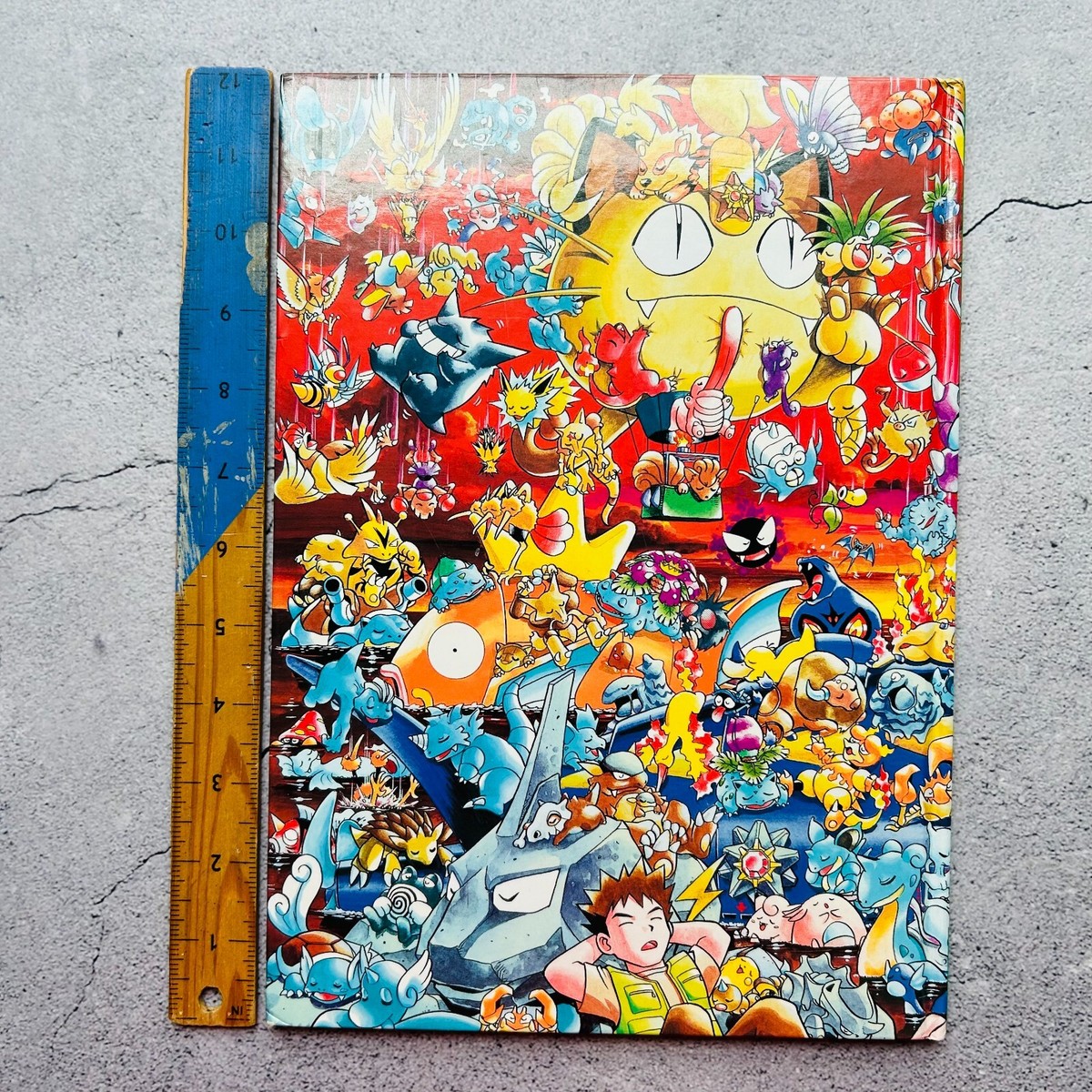 Pokemon Picture Book Pokemon wo Sagase Hardcover Book in Japanese
