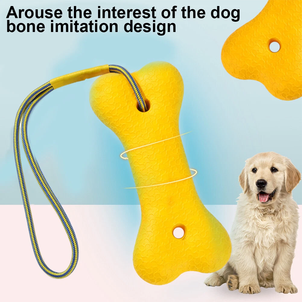 Dog water top toys retrieve