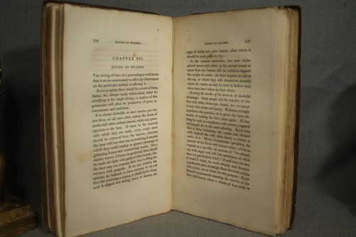 1827 antique book The Honey Bee Natural History Physiology Management - Picture 6 of 10