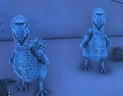 Ark Xbox PVE Solid 96 Dodo pair 