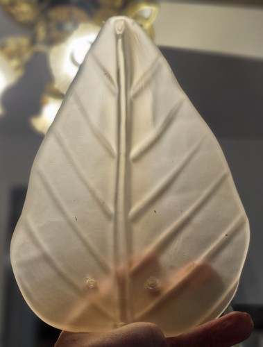 One Vtg Mid Century Murano Ribbed Frosted Peach Art Glass Leaf Wall Sconce Shade - Picture 9 of 9
