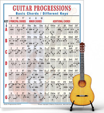 Mini Guitar Chord Chart Poster - Laminated Guitar Progressions Chord Poster for