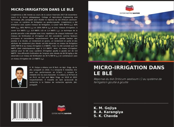MICRO-IRRIGATION Dans Le BlÉ K. M. Gojiya (U. A.) Taschenbuch FranzöSisch 2024-image