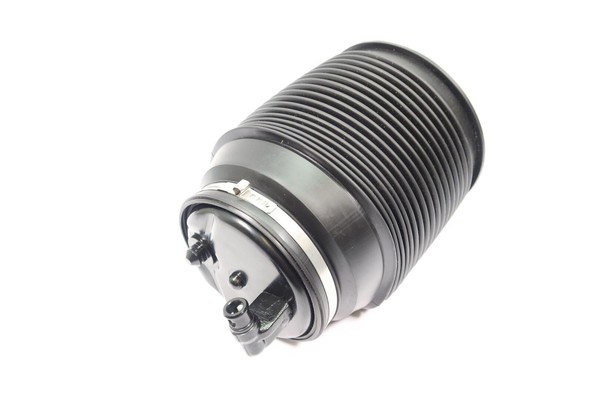 Luftfeder Fahrwerk Monroe ASP020 Box FüR Toyota Land Cruiser Prado KZJ120 KDJ120-image