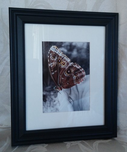 Butterfly Framed, matted & Signed Digitally Enhanced Photo Art - Wendy Ross