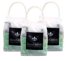 DermOrganic Daily Shampoo  Intensive Repair Masque  Leave-in Treatment 3 Kit 
