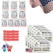 Dental Orthodontic Mini/Standard Bracket Braces / Elastic Niti Arch Wires sa