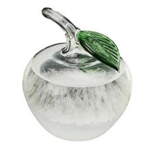 Mini Storm Glass Weather Forecaster, Water Drop Weather Predictor, Barometer ...