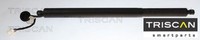 Triscan 871014301 Gasfeder FüR Koffer-/Laderaum Gasfeder GasdäMpfer