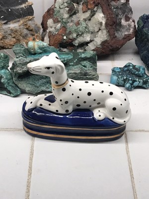 dalmatian whippet