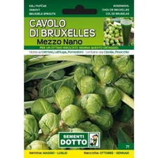 Semences De Orto - Graines De Chou De Bruxelles Demi Nano - Sem. Conduit