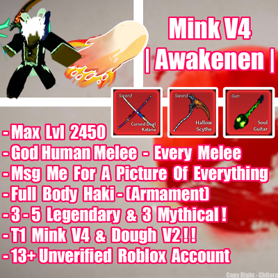 Blox Fruit Account Lv:2450Max, Awaken Dark, GodHuman, Hallow scythe