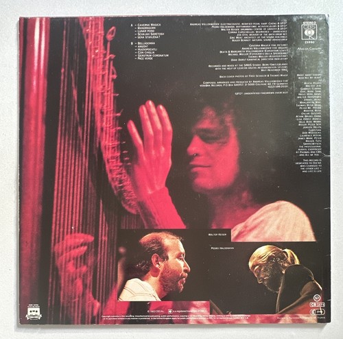 Andreas Vollenweider - Caverna Magica ...Under The Tree - In The Cave Vinyl Lp - Picture 3 of 6