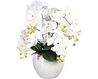 Kunstpflanze Phalaenopsis HöHe: 56 Cm Weiß