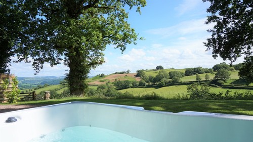 Late Deal - Luxury Shepherd's Hut, Lodge with private covered hot tub, mid-Wales - Picture 2 of 16