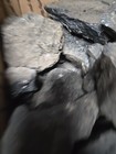 Bild 6 von 8