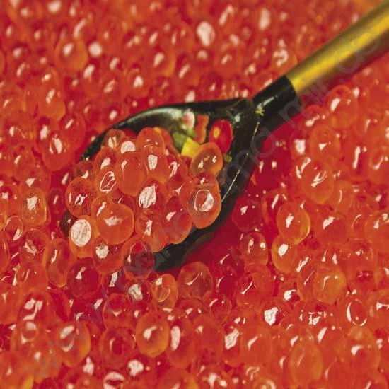 Lachskaviar Gorbuscha 400g Premium Lemberg Wildfang Caviar Икра красная горбуша - Bild 4 von 4