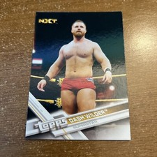 2017 Topps WWE Wrestling Card #67 Dash Wilder NXT AEW FTR