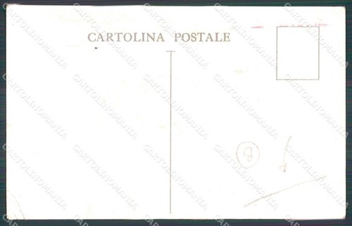 President Woodrow Wilson USA Flag PIEGHE CREASES ABRASA ABRADED postcard QT5276 - Picture 2 of 2