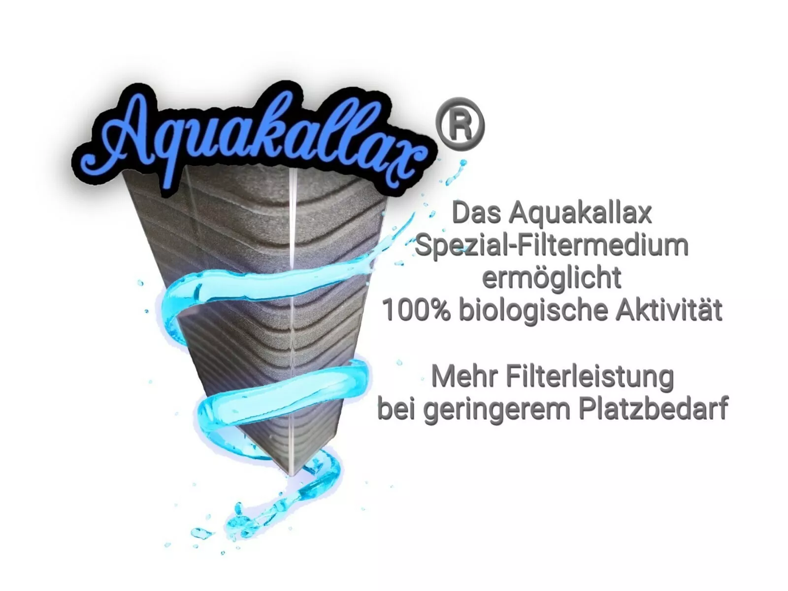 Bild 2 von 12