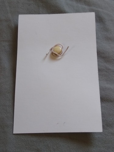 2011 National Button Society Asian Fusion Button on Card. - Picture 12 of 12