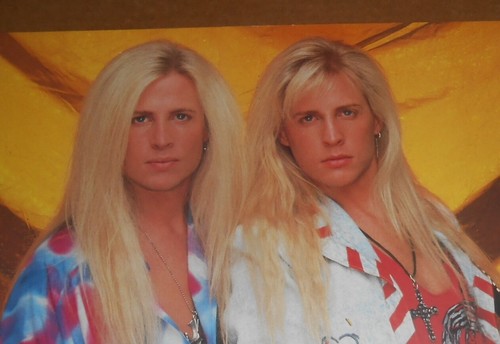 The Nelson Twins 1991 Poster 2-seitig 21,5x16 Classic Band Shot - Bild 2 von 3
