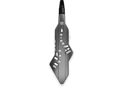 Roland AE-05 Aerophone GO Digital Wind Synthesizer with Bluetooth & Soft Case