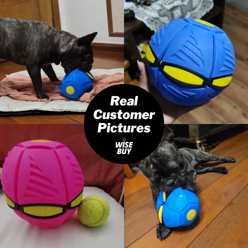 Flying Saucer Ball Interactive Outdoor Sports Training Games Dog Throw