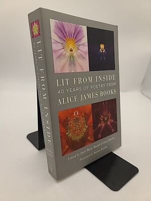 Anne Marie Macari Lit from Inside (Paperback) Brand New