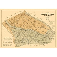 Historic County Map - Bladen County North Carolina - Mc Duffie 1885 - Vintage