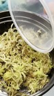 Video 1 von 1