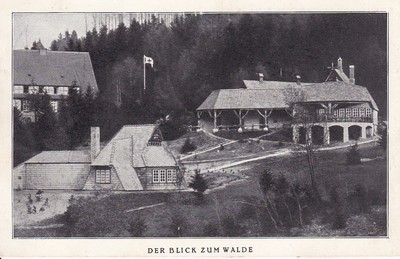 ancient postcard, Bad Harzburg, Winuwuk and Sonnenhof, the view to the forest, 1926
