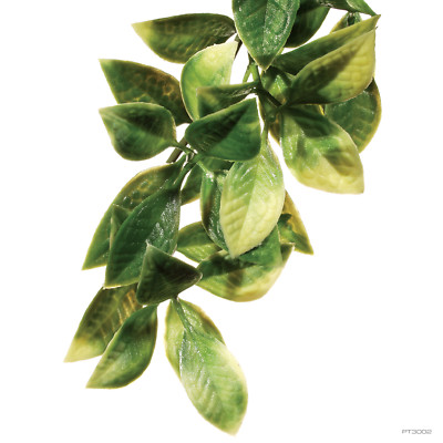 Exo Terra Terrarium Plastic Jungle Plant Mandarin Small