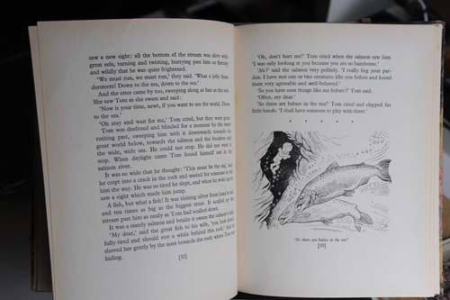 CHARLES KINGSLEY - THE WATER BABIES - EARLY READER SERIES - 27 - Picture 4 of 8