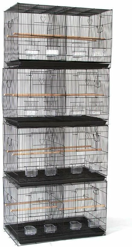 Lot of 4 Breeding Bird Carrier Cage with Dividor for Parakeet Canary Finch Lover
Opens in a new wind