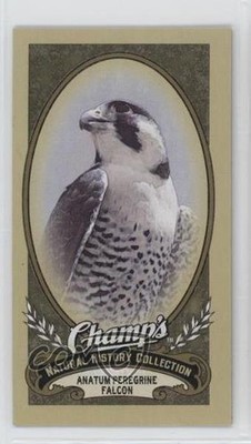 2009 Upper Deck Champ's Natural History Collection Anatum Peregrine Falcon 4gd
