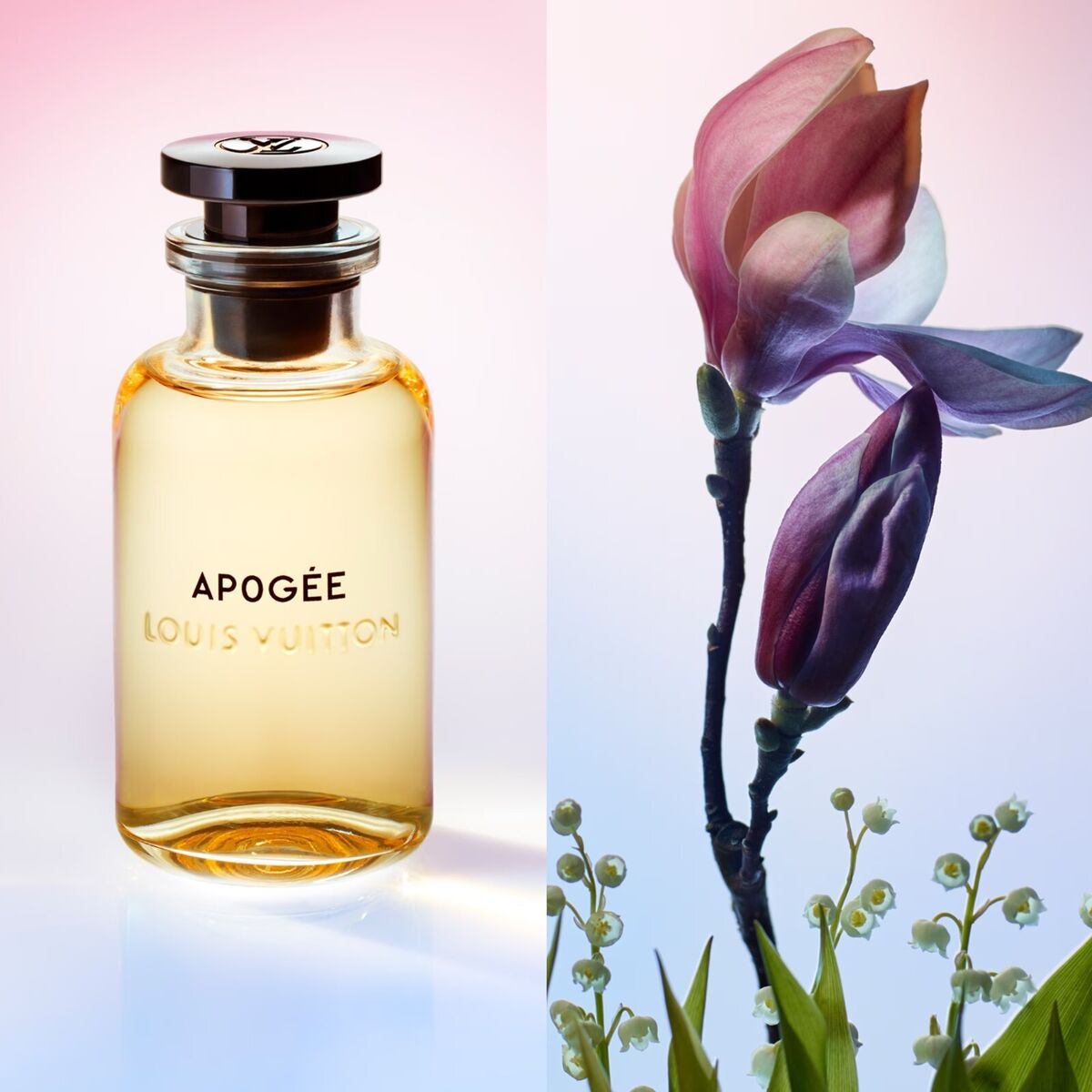 Louis Vuitton Apogee Eau De Parfum Spray - 100ml / 3.4oz | eBay Louis Vuitton Apogee Eau De Parfum Spray - 100ml / 3.4oz | eBay