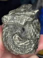 Pyrite Baby/Hatching Dragon Egg