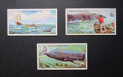 OGDENS DREI SELTENE SAMMLERSTÜCKE 1927 VINTAGE ZIGARETTENKARTEN WALFANG 4-7-10