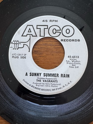 #ad The Vagrants 45 A Sunny Summer Rain Beside The Sea Garage Psych VG Atco 45 6513 $24.88