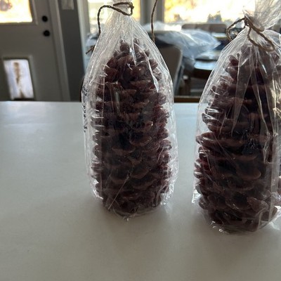 CRATE and BARREL Candle Natural Pine Cone Large 10''