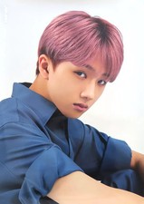 Póster SM Entertainment NCT Dream Jisung The Dream Show Tour SMMD11958