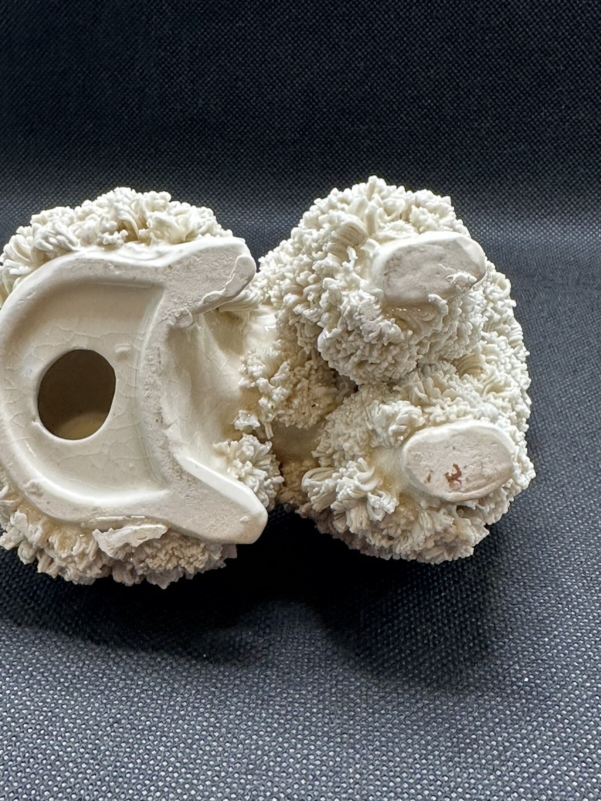 Picture 15 of 15