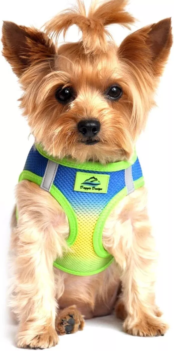 Trachea safe cheap harness