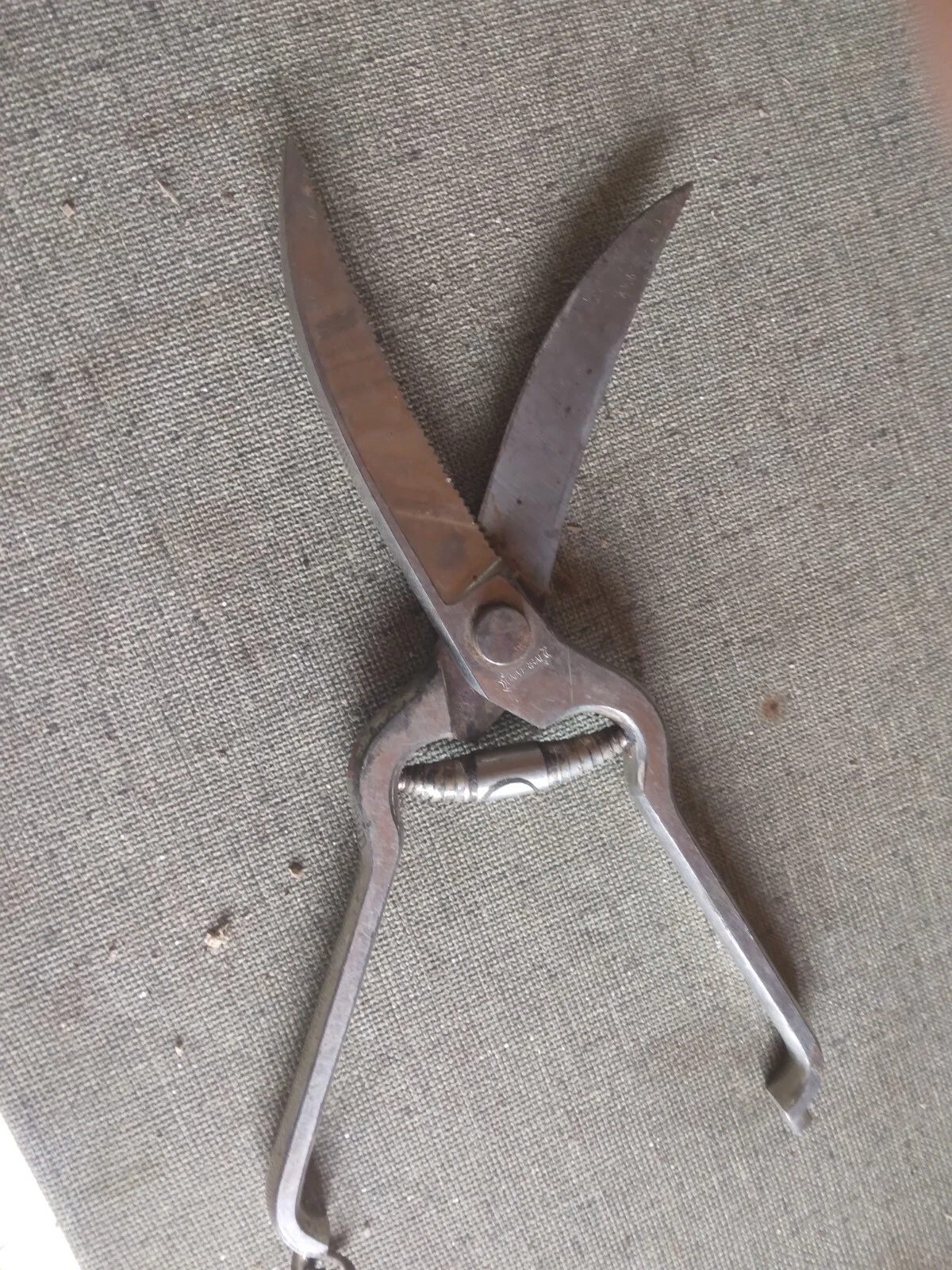 vintage stainless steel chicken poultry sissor for restraunt use